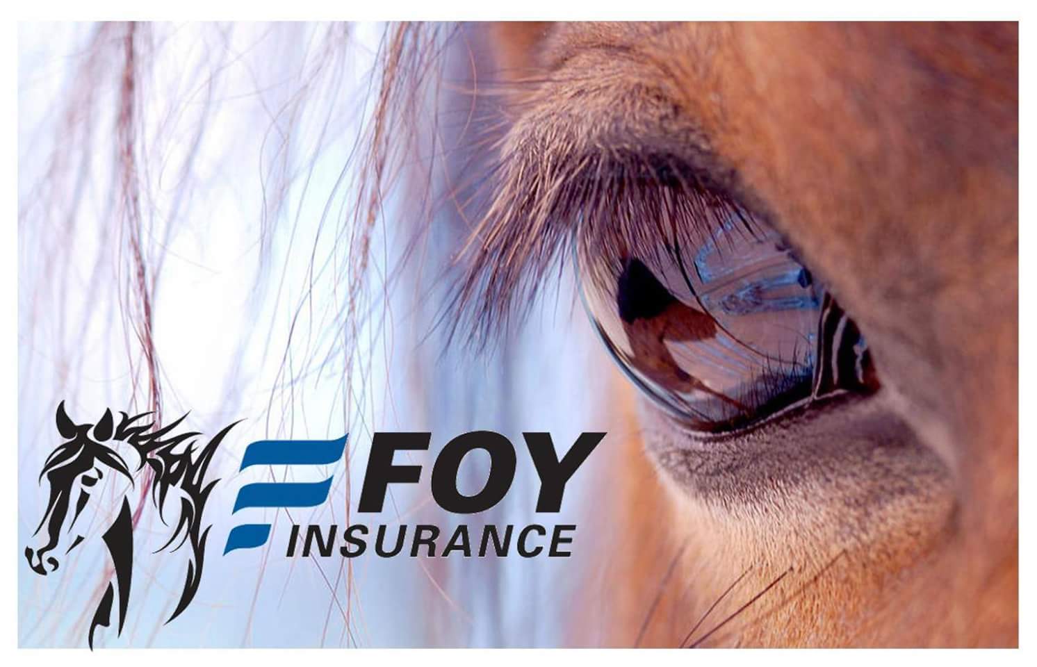 Equine Insurance in NH, MA & ME - Foy Insurance